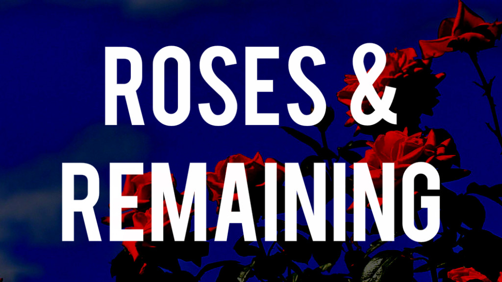 roses & remaining