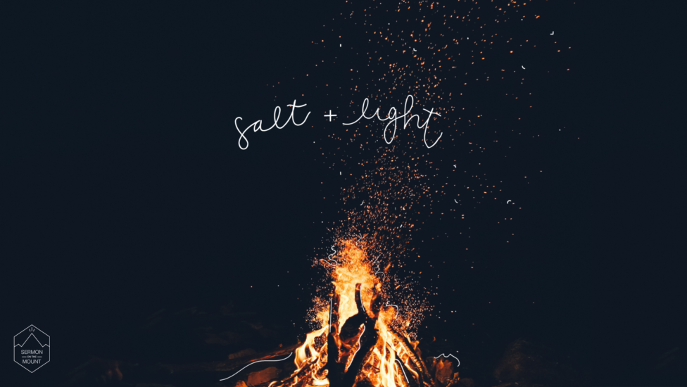 Salt + Light