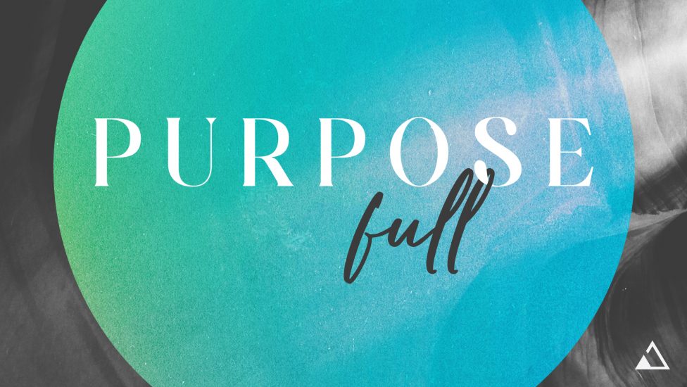 Purpose Full