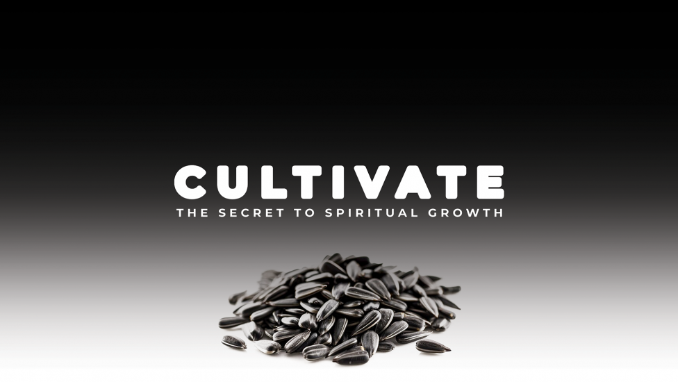 Cultivate